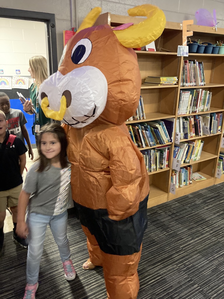 bull and student 