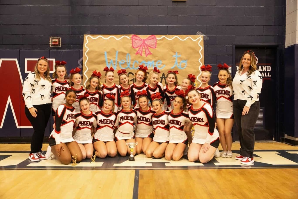 A group of cheerleaders posing for a picture.