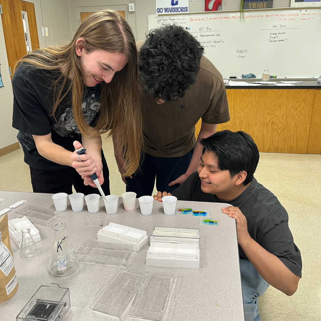 Students in Mrs. Watts' AP Biology Class solve a "skittlecide" using gel electrophoresis (biotechnology) to analyze DNA from a crime scene.