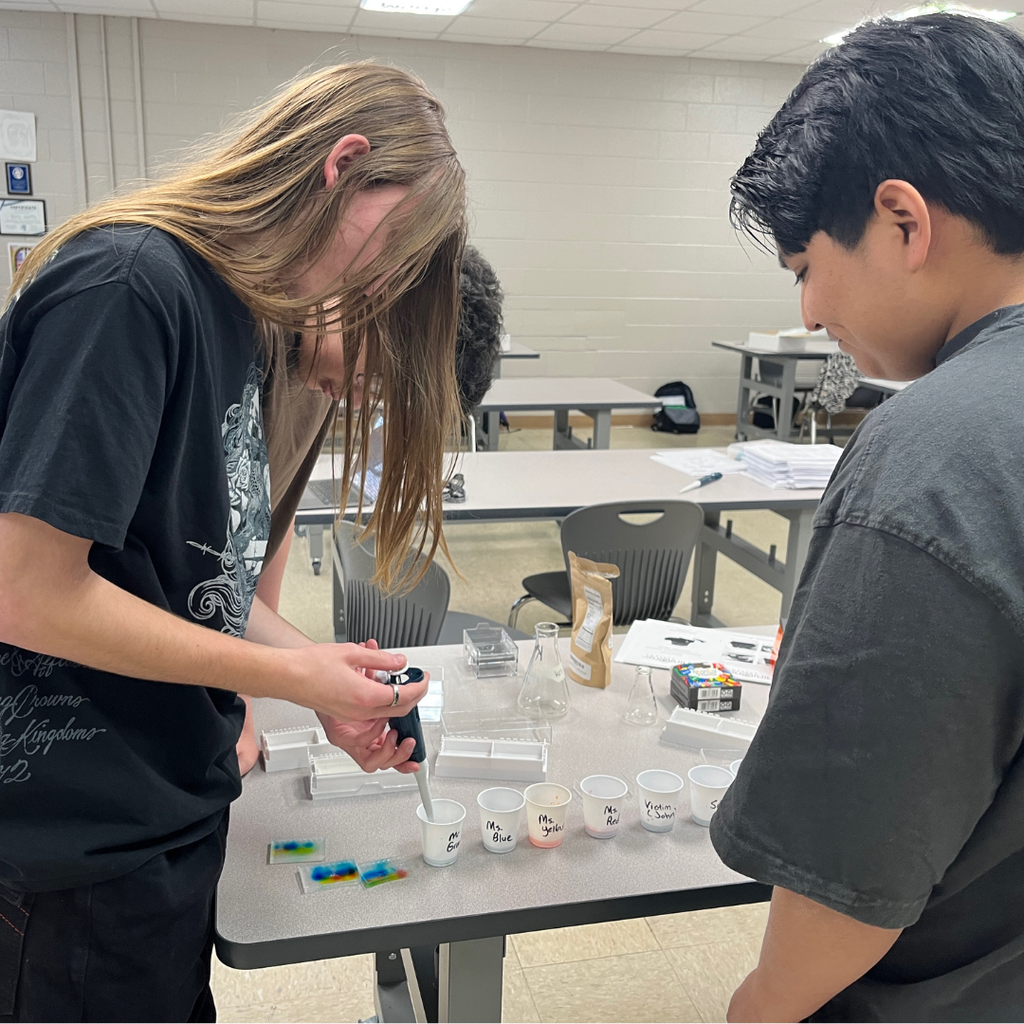 Students in Mrs. Watts' AP Biology Class solve a "skittlecide" using gel electrophoresis (biotechnology) to analyze DNA from a crime scene.