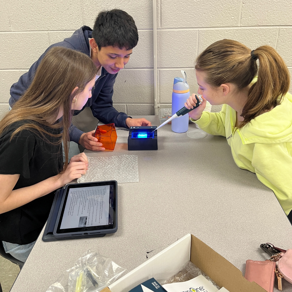 Mrs. Watts' AP Biology Classes solve a "skittlecide" using gel electrophoresis (biotechnology) to analyze DNA from a crime scene.