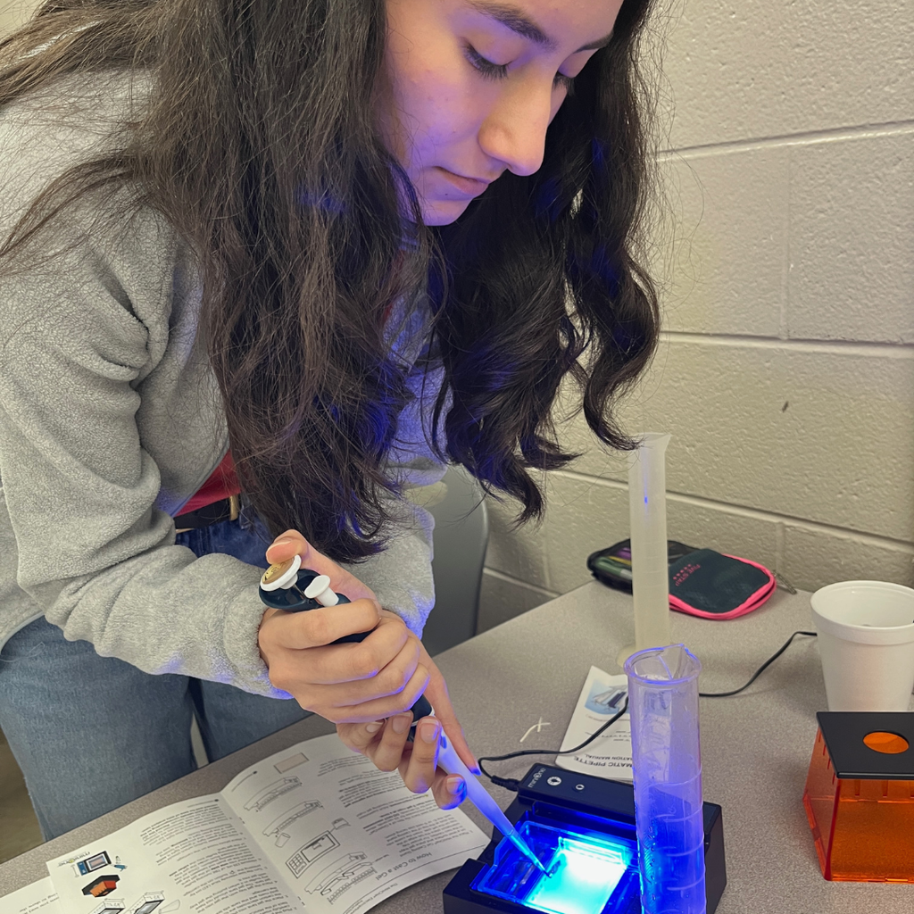 Student in Mrs. Watts' AP Biology Class solves a "skittlecide" using gel electrophoresis (biotechnology) to analyze DNA from a crime scene.