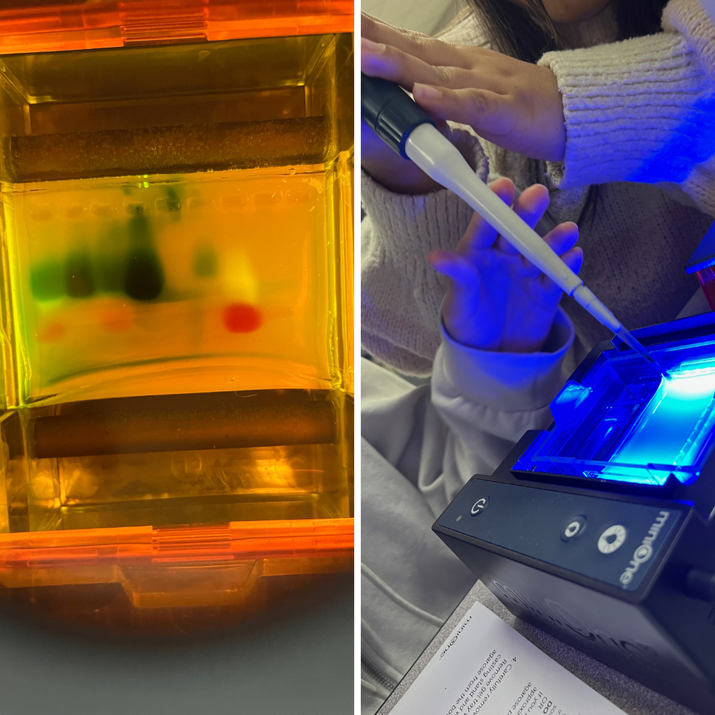 Biotechnology Experiment tools