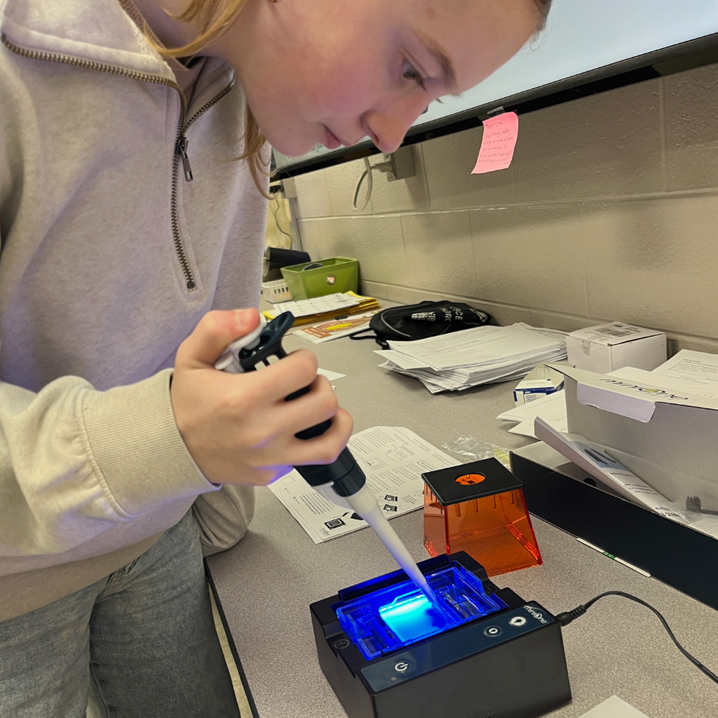 Student in Mrs. Watt's  AP Biology Class solves a "skittlecide" using gel electrophoresis (biotechnology) to analyze DNA from a crime scene.