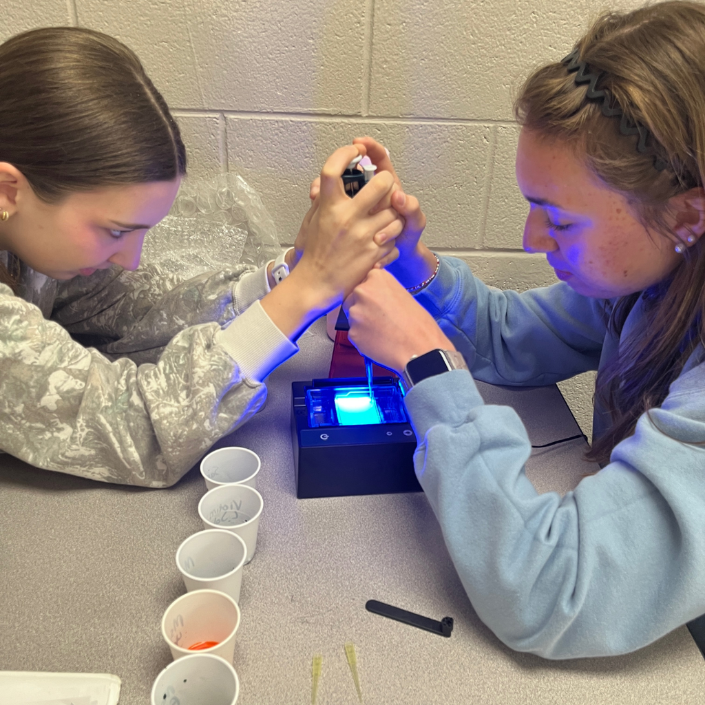 Mrs. Watts' AP Biology Classes solve a "skittlecide" using gel electrophoresis (biotechnology) to analyze DNA from a crime scene.