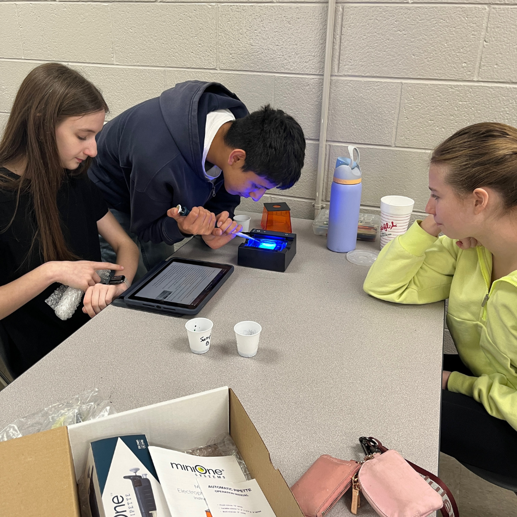 Mrs. Watts' AP Biology Classes solve a "skittlecide" using gel electrophoresis (biotechnology) to analyze DNA from a crime scene.