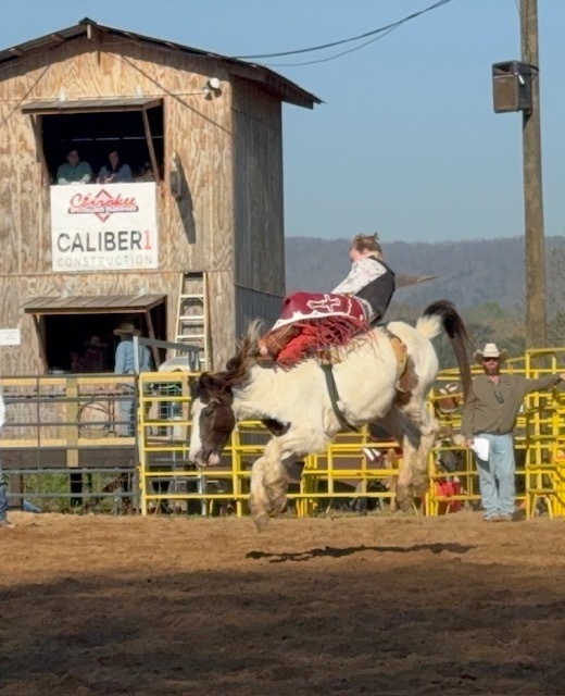 This image shows a young boy riding a bareback bucking horse in a rodeo. 