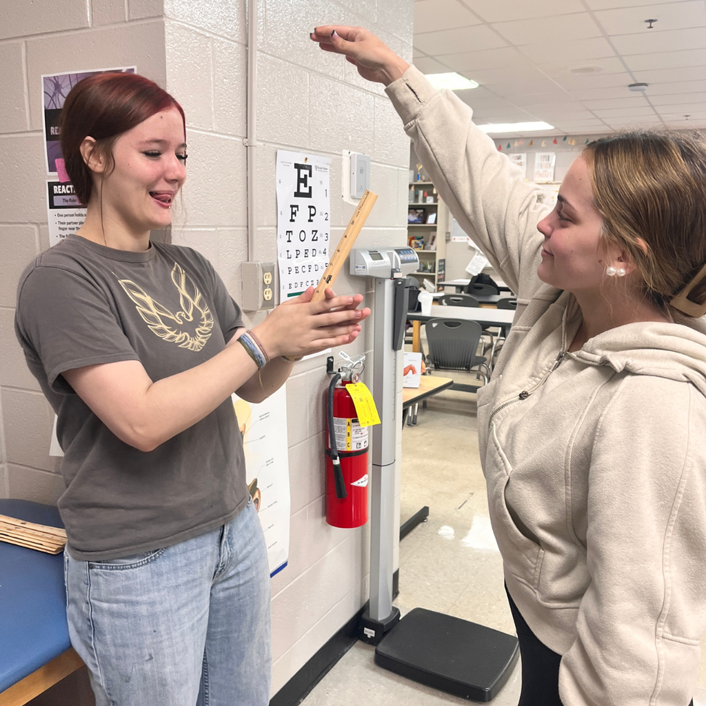 Students in Essentials of Healthcare doing lab stations for the nervous system