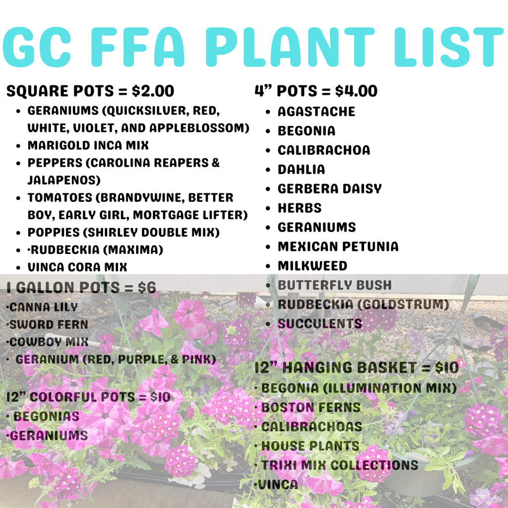 Plant Prices - Square Pots $2.00 various flowers and veggies 4" pots $4.00 flowering plants, herbs, etc 1 Gallon Pots $6.00 Canna Lily, Sword Fern, Cowboy Mix, Geraniums 12" colorful posts $10.00 begonias and geraniums 12" hanging baskets $10 - begonia, boston ferns, calibrachoas, house plants, trixi mix collections and vinca