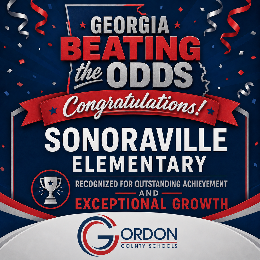 Georgia Beating the Odds Banner from Gordon County Schools