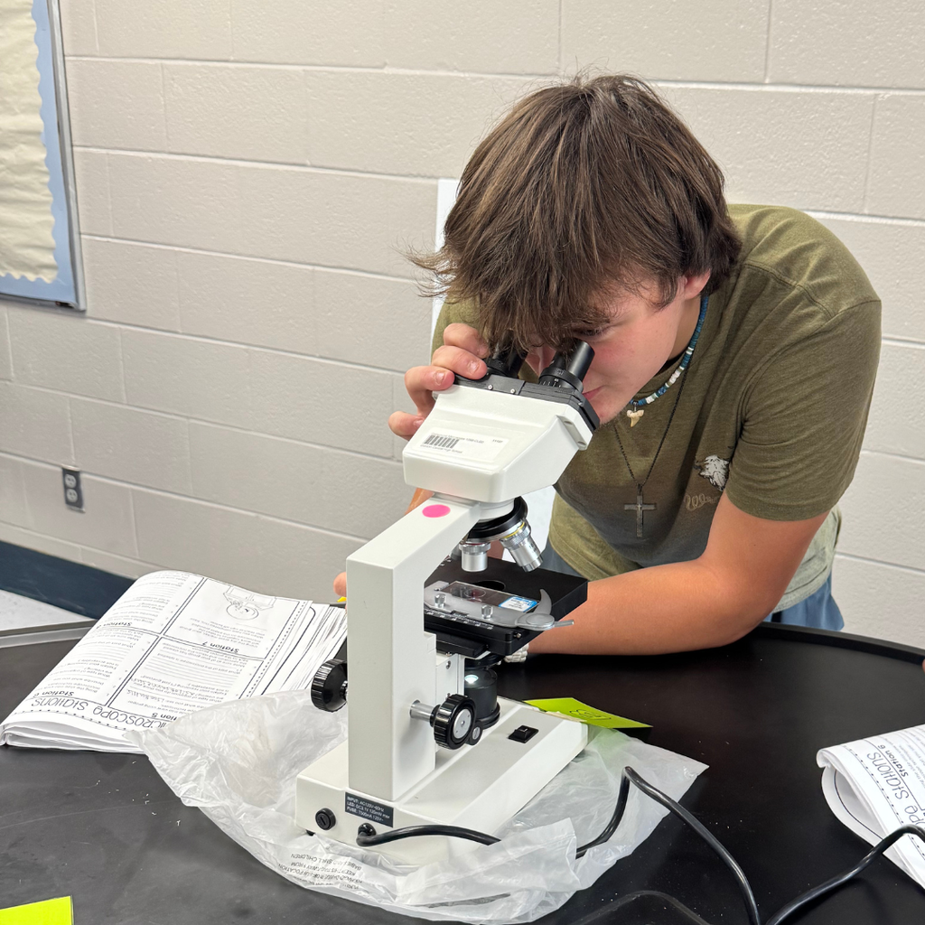 Student working on microscope skills in Mrs. Rusciano's Science Class