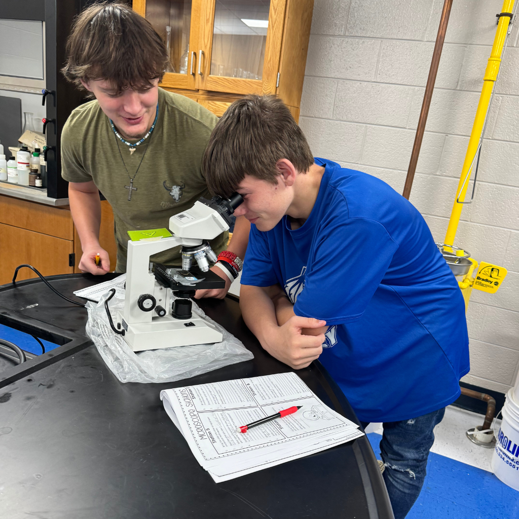 Students working on microscope skills in Mrs. Rusciano's Science Class
