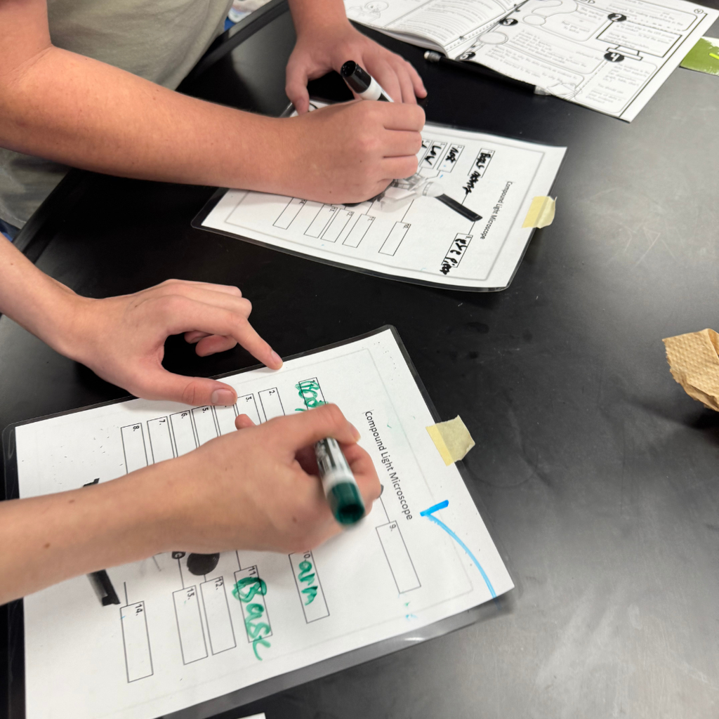 Students working on microscope skills in Mrs. Rusciano's Science Class