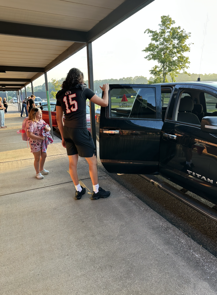 opening car doors