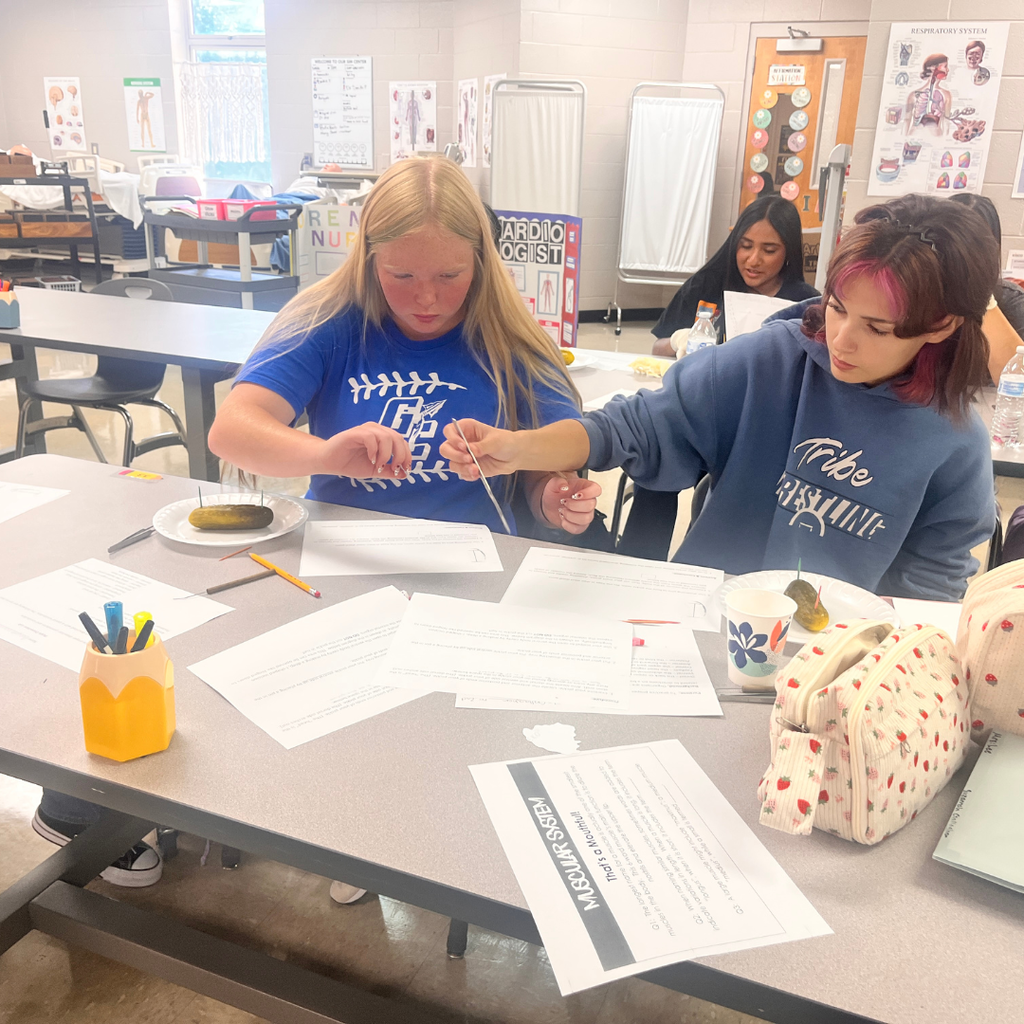 Students Mrs. Lee's Essentials class has been learning all about directional and regional terms this week as it relates to the body. Today, they are using pickles to dissect while utilizing the terms we are studying