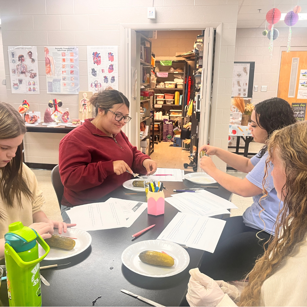 Mrs. Lee's Essentials class has been learning all about directional and regional terms this week as it relates to the body. Today, they are using pickles to dissect while utilizing the terms we are studying