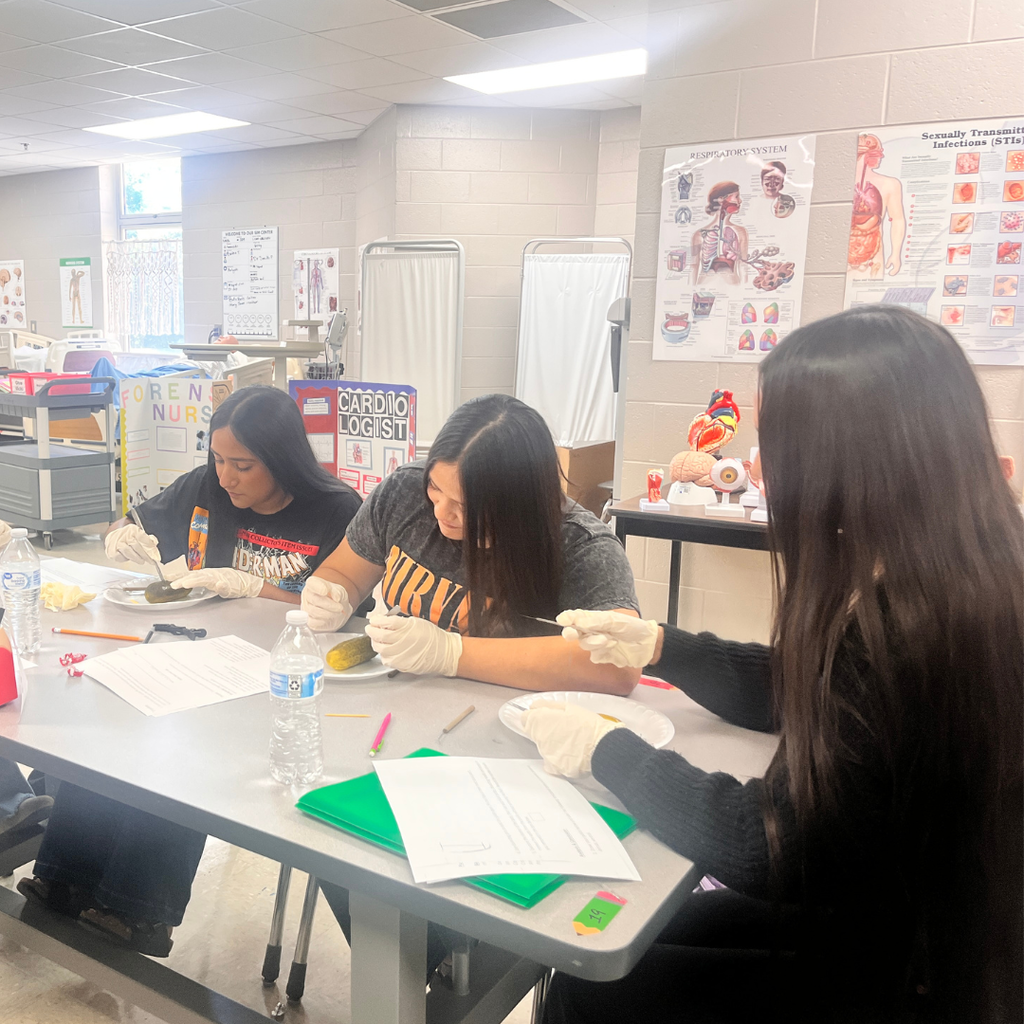 Mrs. Lee's Essentials class has been learning all about directional and regional terms this week as it relates to the body. Today, they are using pickles to dissect while utilizing the terms we are studying