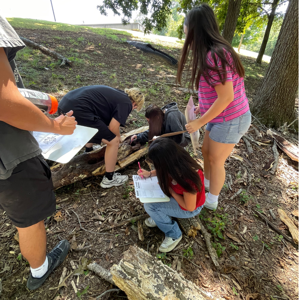 Mrs. Weaver's Environmental Science participating in an ecosystem scavenger hunt for Unplugged Wednesday