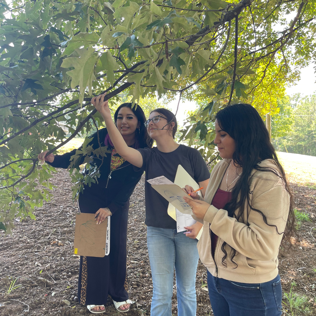 Mrs. Weaver's Environmental Science participating in an ecosystem scavenger hunt for Unplugged Wednesday