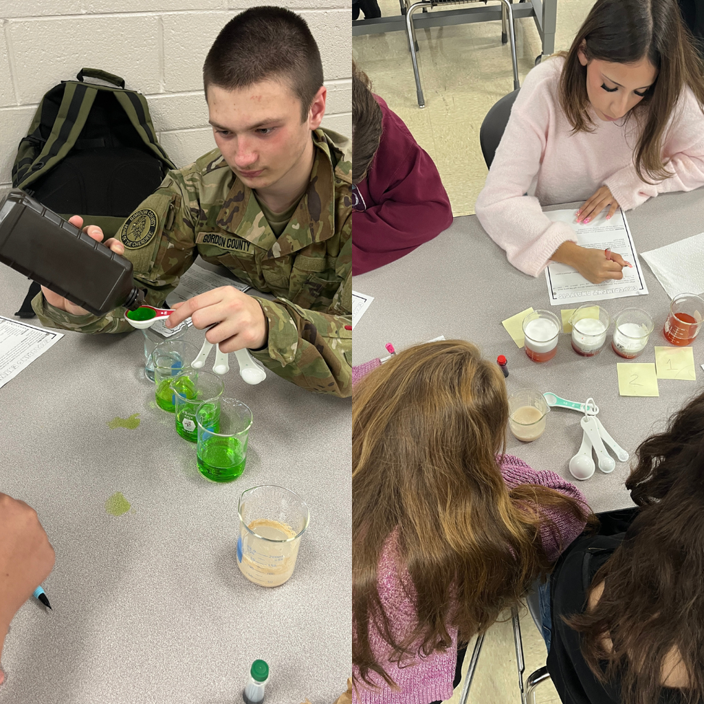 During "Unplugged Wednesday," students in Mrs. Watts' Biology classes rotated between an enzymes lab in which they tested how varying amounts of substrate affect reaction rate and a Jenga review game in which they answered review questions for a unit test.