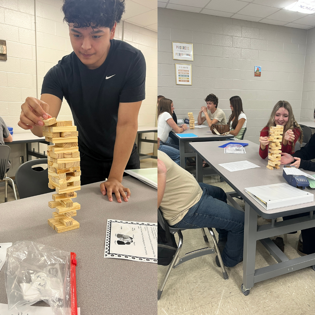 During "Unplugged Wednesday," students in Mrs. Watts' Biology classes rotated between an enzymes lab in which they tested how varying amounts of substrate affect reaction rate and a Jenga review game in which they answered review questions for a unit test.