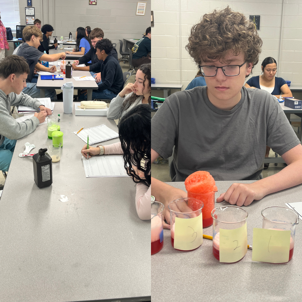 During "Unplugged Wednesday," students in Mrs. Watts' Biology classes rotated between an enzymes lab in which they tested how varying amounts of substrate affect reaction rate and a Jenga review game in which they answered review questions for a unit test.