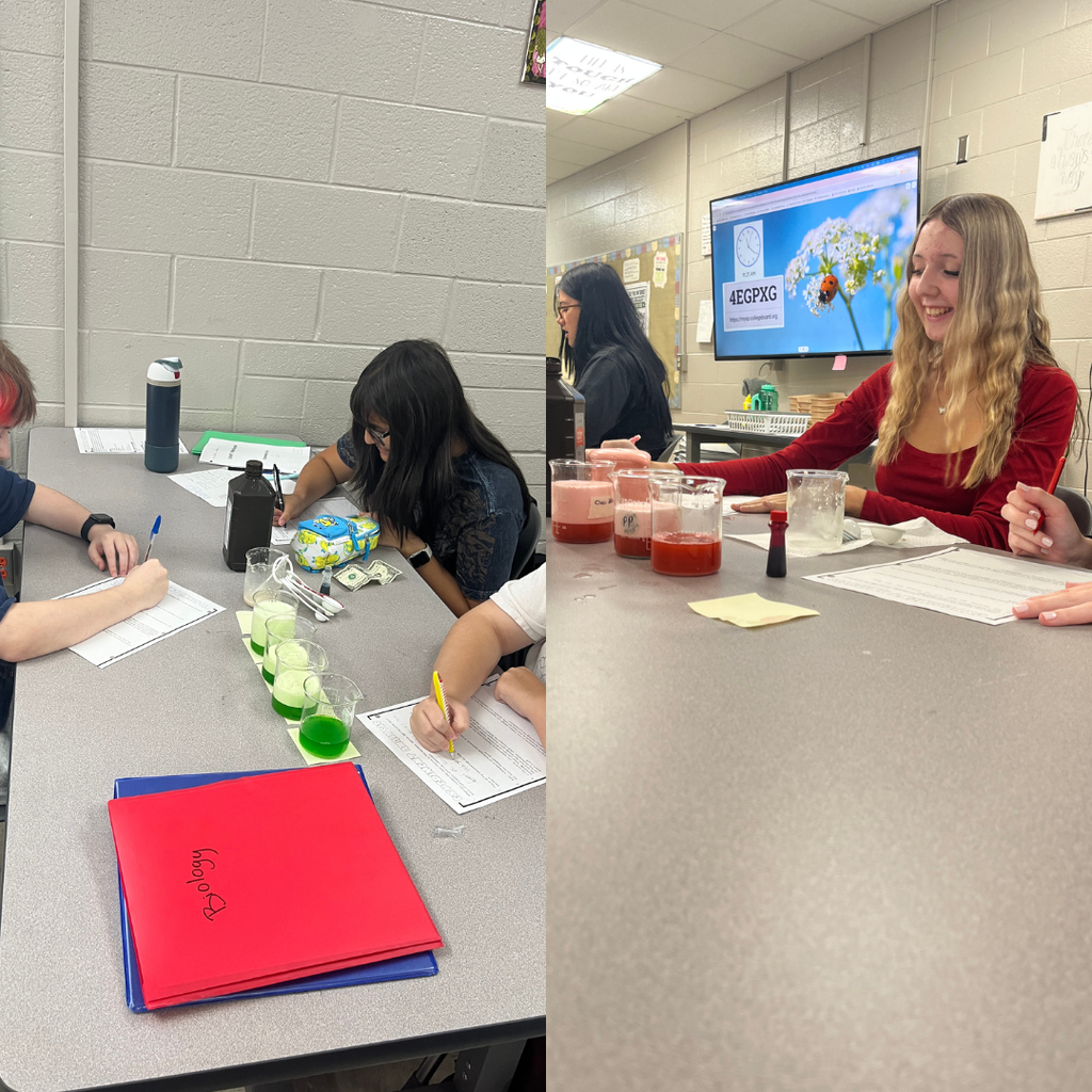 During "Unplugged Wednesday," students in Mrs. Watts' Biology classes rotated between an enzymes lab in which they tested how varying amounts of substrate affect reaction rate and a Jenga review game in which they answered review questions for a unit test.