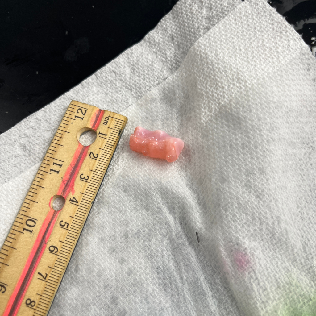 Mrs. Watts' Biology students put osmosis to the test by measuring the size and mass of gummy bears before and after soaking them in different solutions. This hands-on experiment helped students see how water moves across cell membranes in a sweet and memorable way!