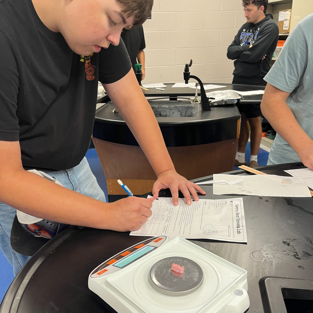 Mrs. Watts' Biology students put osmosis to the test by measuring the size and mass of gummy bears before and after soaking them in different solutions. This hands-on experiment helped students see how water moves across cell membranes in a sweet and memorable way!