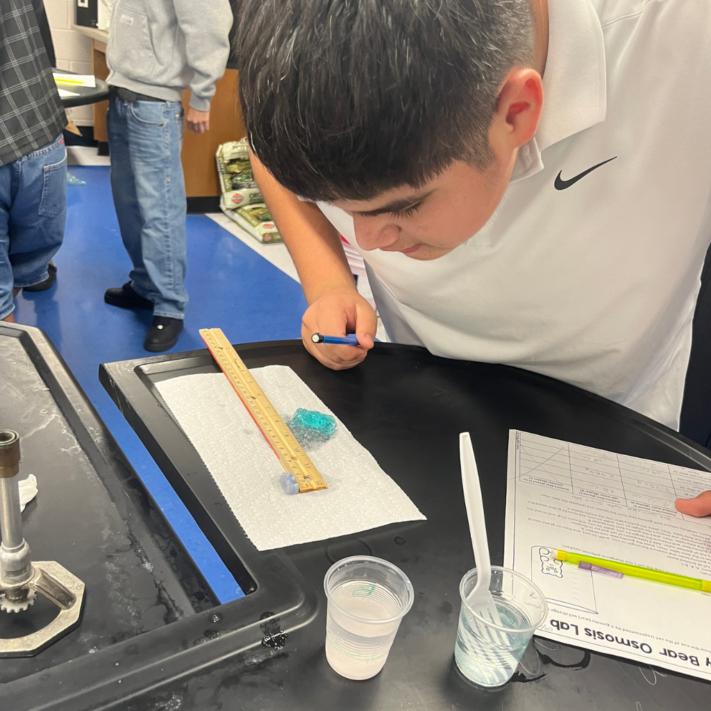 Mrs. Watts' Biology students put osmosis to the test by measuring the size and mass of gummy bears before and after soaking them in different solutions. This hands-on experiment helped students see how water moves across cell membranes in a sweet and memorable way!
