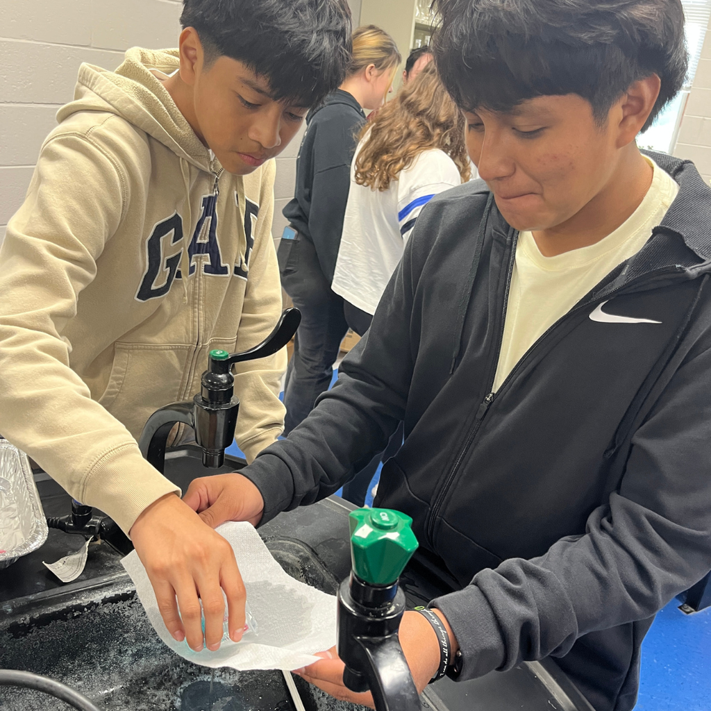 Mrs. Watts' Biology students put osmosis to the test by measuring the size and mass of gummy bears before and after soaking them in different solutions. This hands-on experiment helped students see how water moves across cell membranes in a sweet and memorable way!