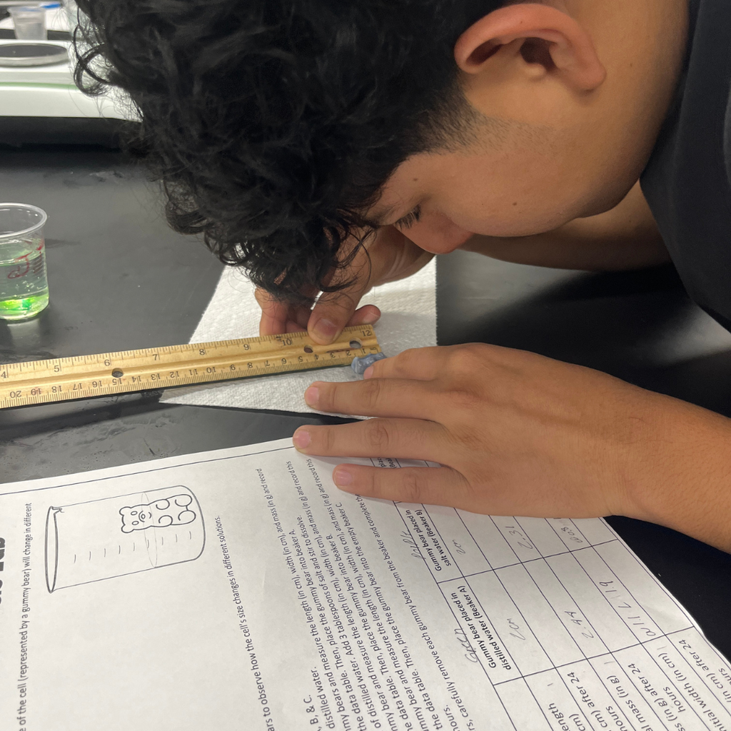 Mrs. Watts' Biology students put osmosis to the test by measuring the size and mass of gummy bears before and after soaking them in different solutions. This hands-on experiment helped students see how water moves across cell membranes in a sweet and memorable way!