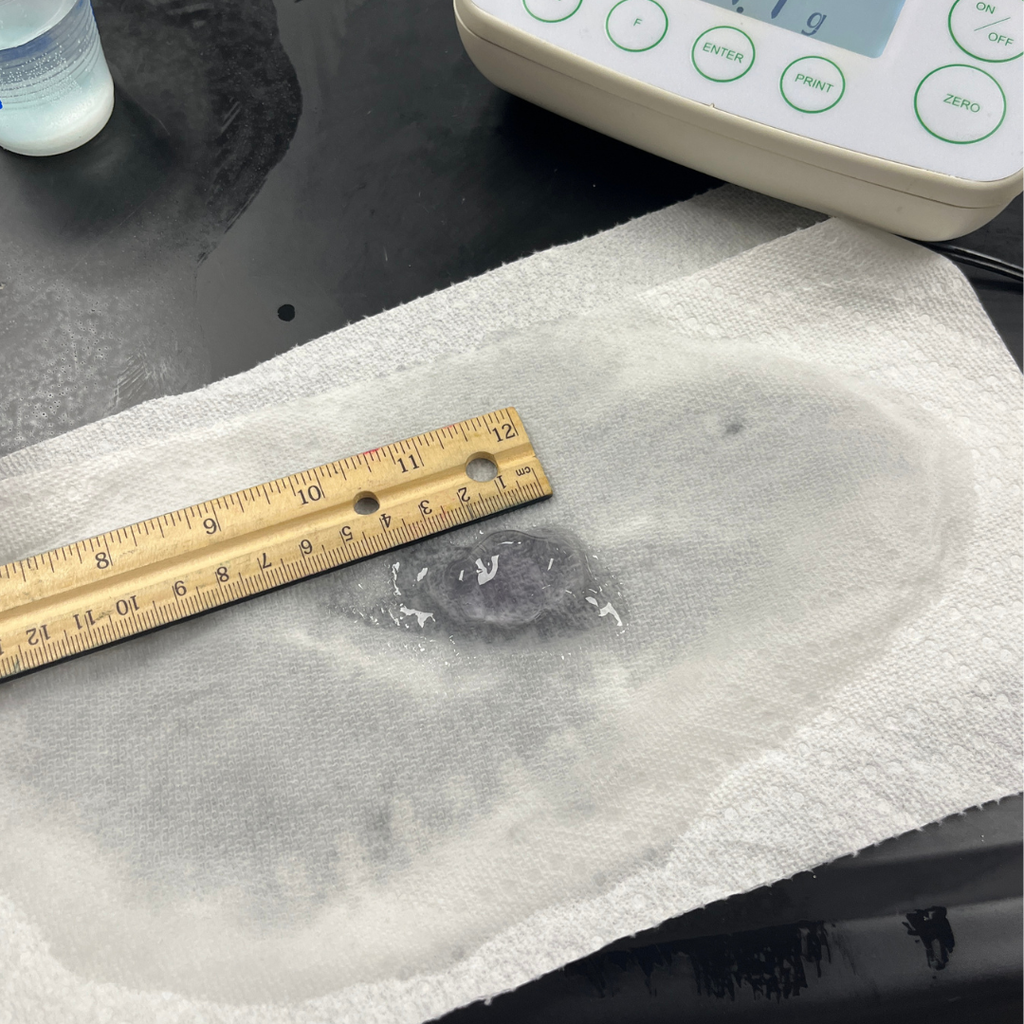 Mrs. Watts' Biology students put osmosis to the test by measuring the size and mass of gummy bears before and after soaking them in different solutions. This hands-on experiment helped students see how water moves across cell membranes in a sweet and memorable way!