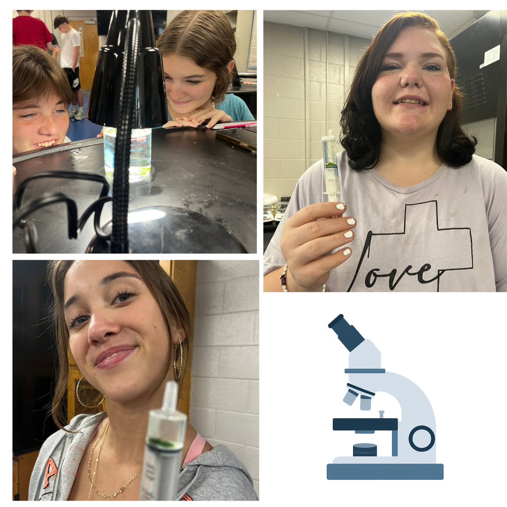 Mrs. Watts' Biology students put photosynthesis to the test! By observing leaf discs and timing how long it took them to float, students investigated the rate of photosynthesis and witnessed oxygen production in action. Hands-on science helps bring classroom concepts to life!