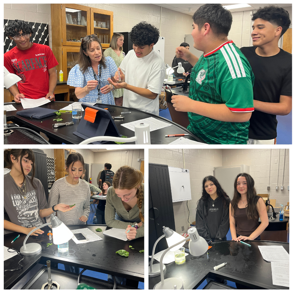 Mrs. Watts' Biology students put photosynthesis to the test! By observing leaf discs and timing how long it took them to float, students investigated the rate of photosynthesis and witnessed oxygen production in action. Hands-on science helps bring classroom concepts to life!