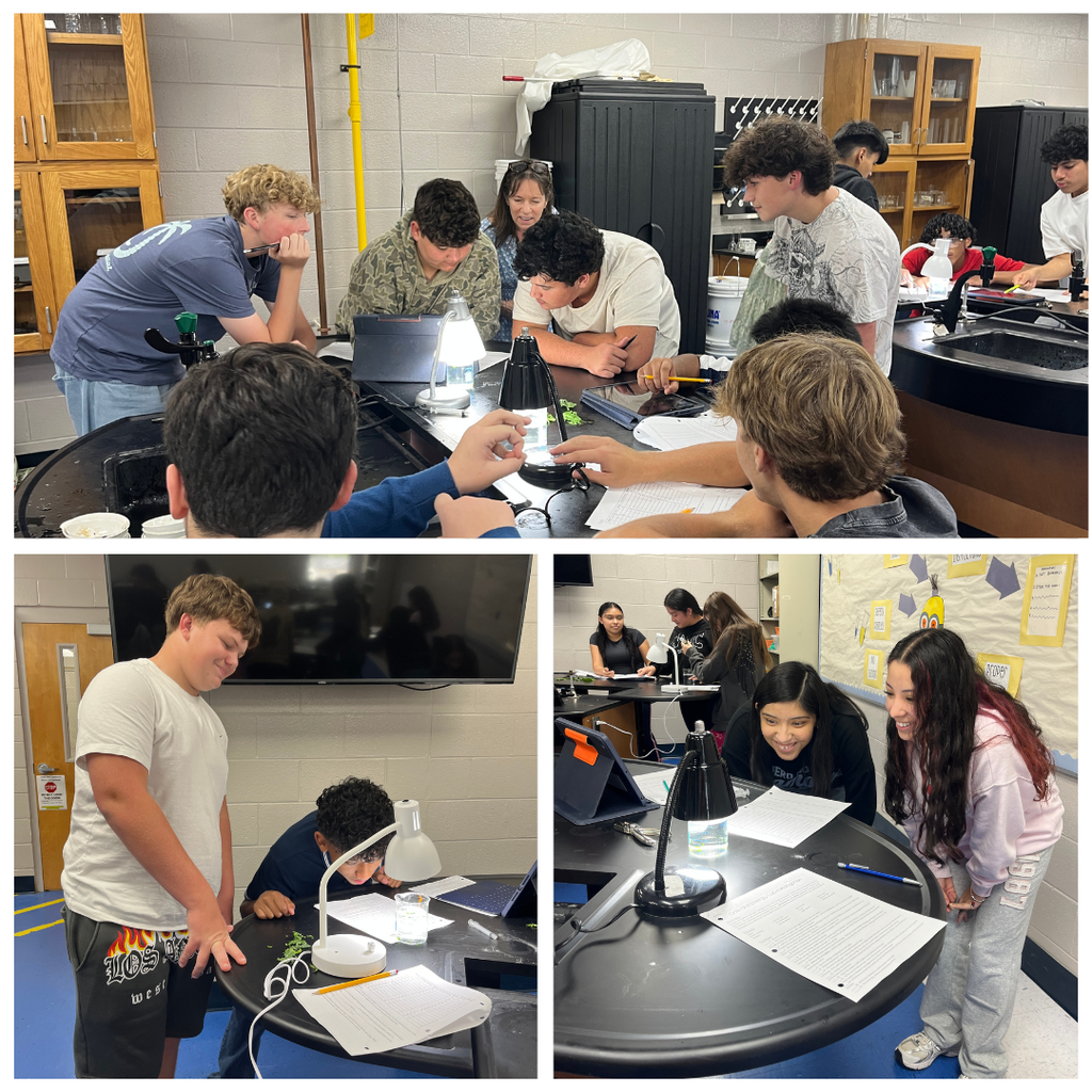 Mrs. Watts' Biology students put photosynthesis to the test! By observing leaf discs and timing how long it took them to float, students investigated the rate of photosynthesis and witnessed oxygen production in action. Hands-on science helps bring classroom concepts to life!