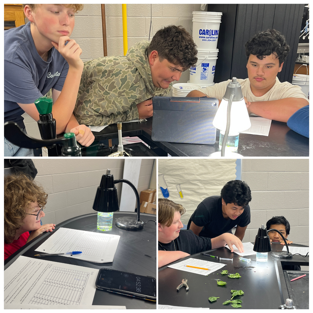 Mrs. Watts' Biology students put photosynthesis to the test! By observing leaf discs and timing how long it took them to float, students investigated the rate of photosynthesis and witnessed oxygen production in action. Hands-on science helps bring classroom concepts to life!