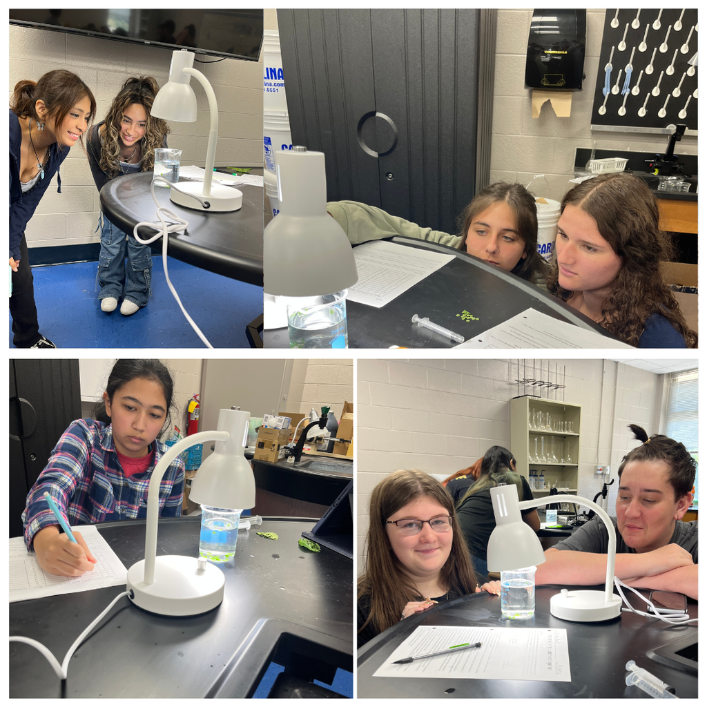 Mrs. Watts' Biology students put photosynthesis to the test! By observing leaf discs and timing how long it took them to float, students investigated the rate of photosynthesis and witnessed oxygen production in action. Hands-on science helps bring classroom concepts to life!
