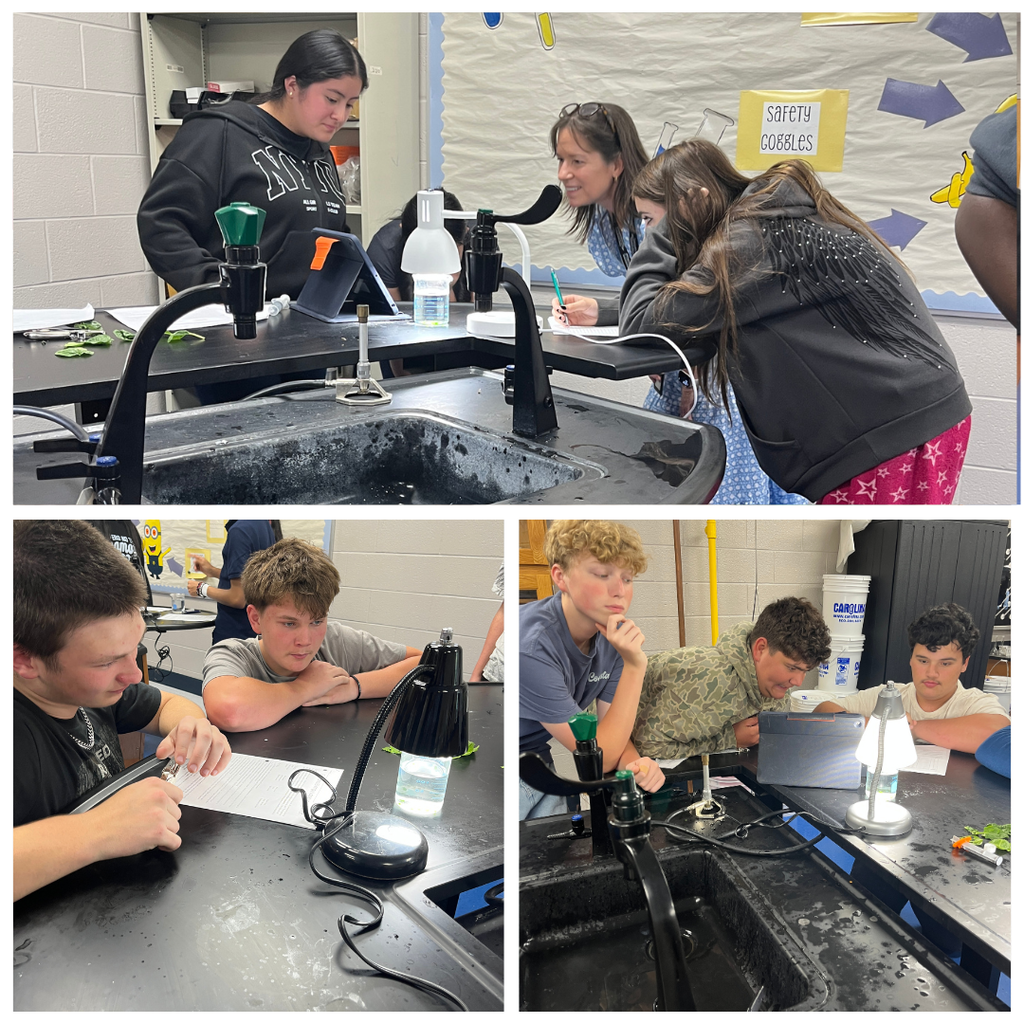 Mrs. Watts' Biology students put photosynthesis to the test! By observing leaf discs and timing how long it took them to float, students investigated the rate of photosynthesis and witnessed oxygen production in action. Hands-on science helps bring classroom concepts to life!