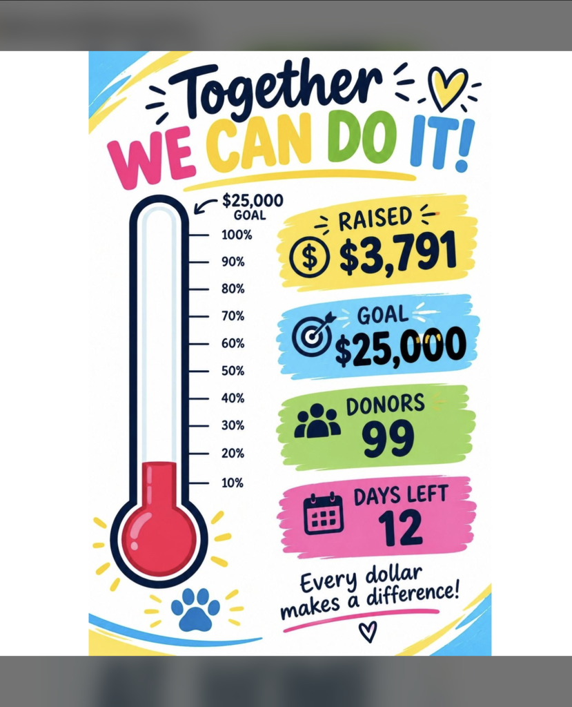fund raiser thermometer