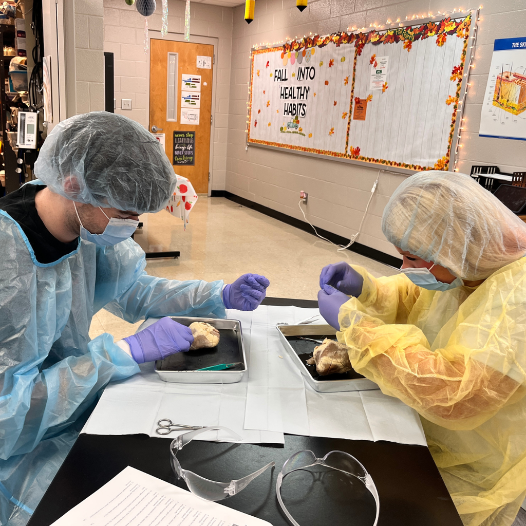 🩺 Hands-on learning in action! Mrs. Lee's Allied Healthcare students have been studying sterile technique and surgical instruments used in the operating room. Today, they put their skills to the test by performing sheep heart dissections, suturing incisions, and practicing proper PPE protocols. Experiences like these help bring healthcare careers to life!