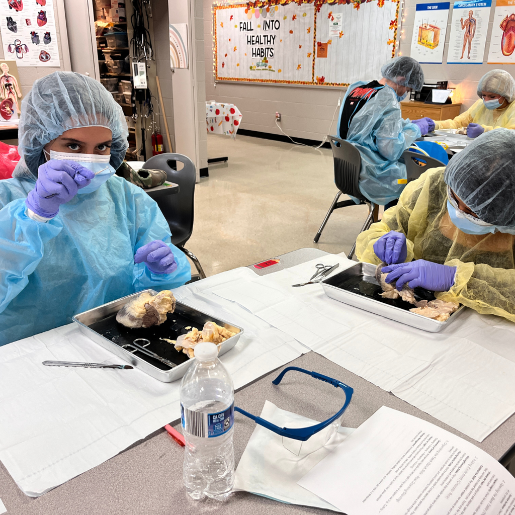 🩺 Hands-on learning in action! Mrs. Lee's Allied Healthcare students have been studying sterile technique and surgical instruments used in the operating room. Today, they put their skills to the test by performing sheep heart dissections, suturing incisions, and practicing proper PPE protocols. Experiences like these help bring healthcare careers to life!