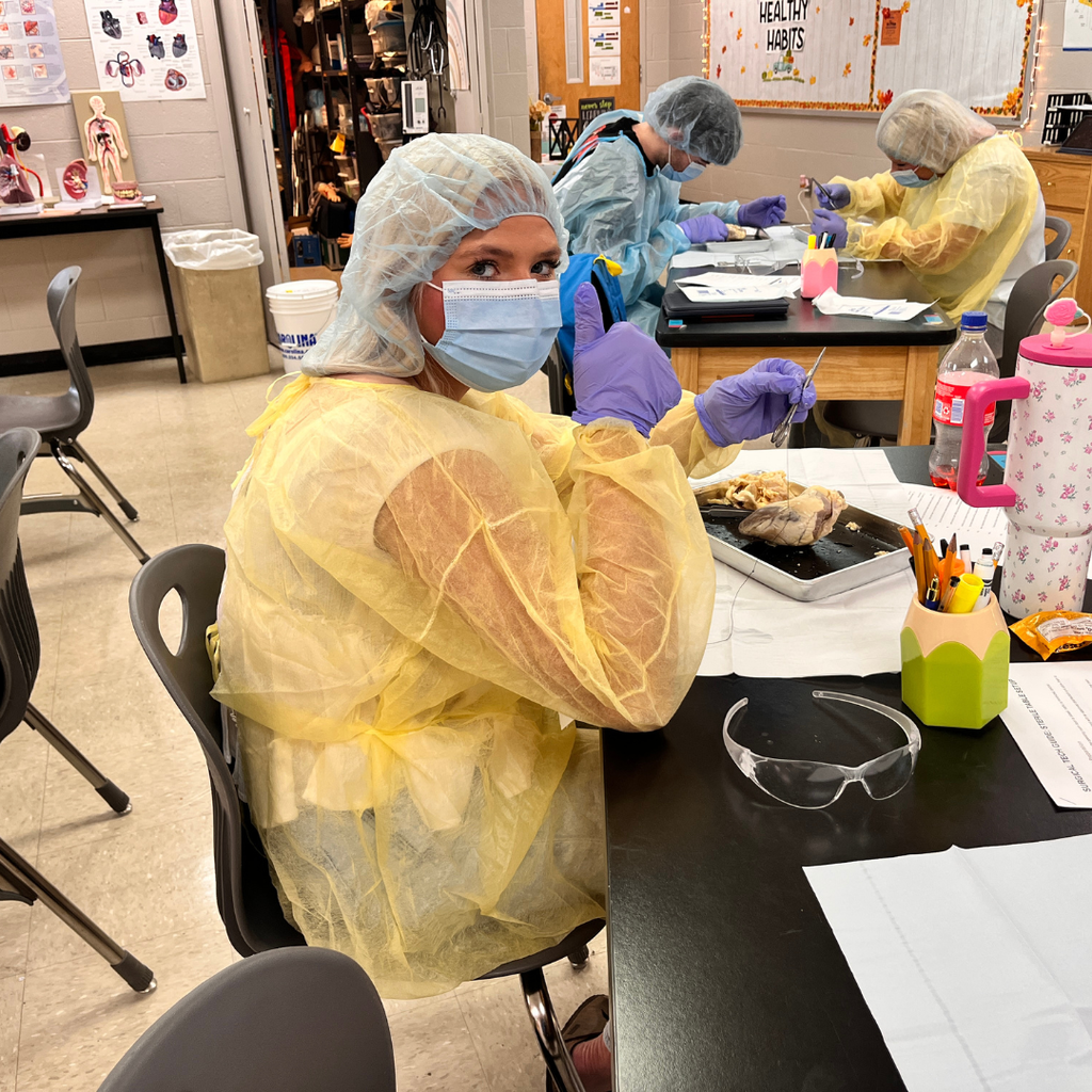 🩺 Hands-on learning in action! Mrs. Lee's Allied Healthcare students have been studying sterile technique and surgical instruments used in the operating room. Today, they put their skills to the test by performing sheep heart dissections, suturing incisions, and practicing proper PPE protocols. Experiences like these help bring healthcare careers to life!