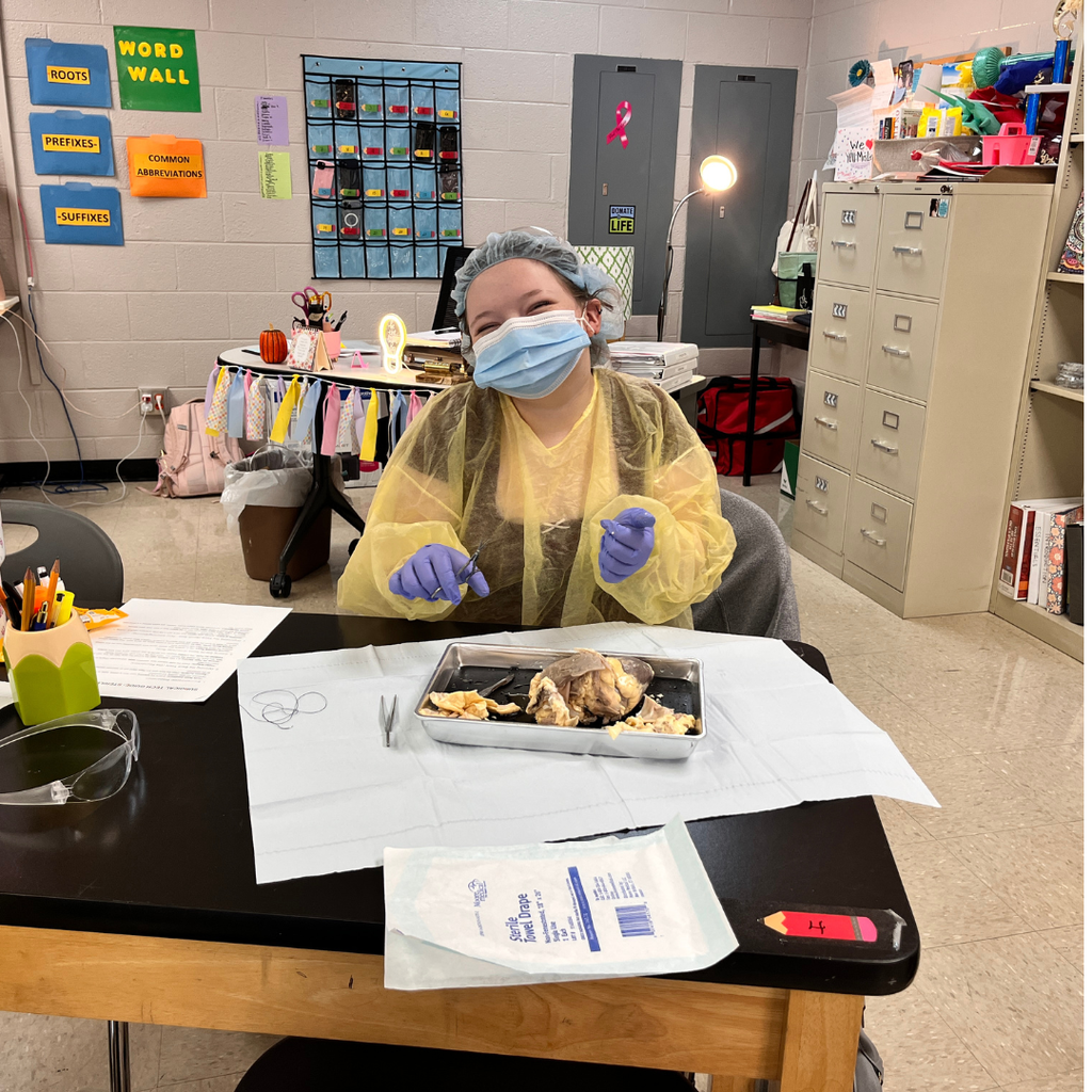 🩺 Hands-on learning in action! Mrs. Lee's Allied Healthcare students have been studying sterile technique and surgical instruments used in the operating room. Today, they put their skills to the test by performing sheep heart dissections, suturing incisions, and practicing proper PPE protocols. Experiences like these help bring healthcare careers to life!
