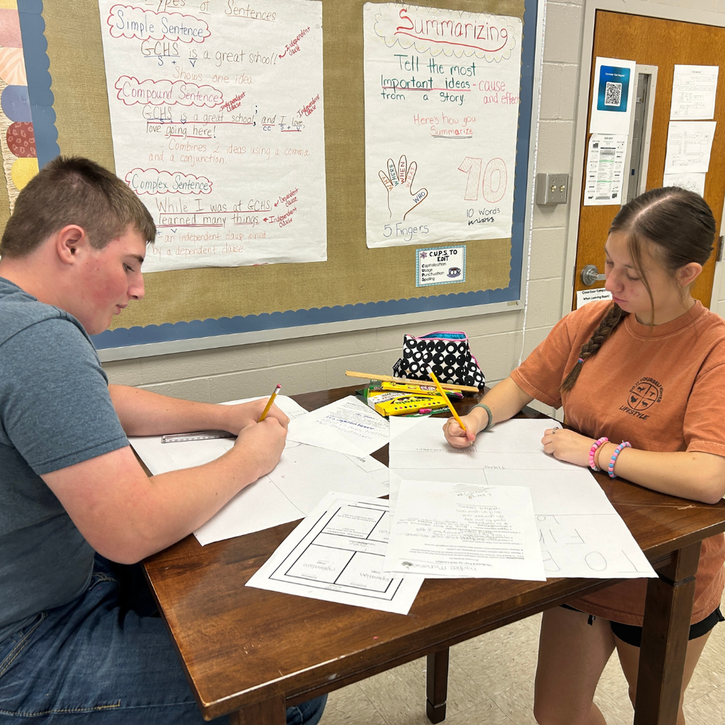 During Wireless Wednesday in Mrs. Freeman’s room, students created theme posters and participated in hands-on learning using the Hexagonal Thinking Strategy. This strategy supports students in developing deeper understanding of the content by organizing their thinking in visual and dynamic ways.  