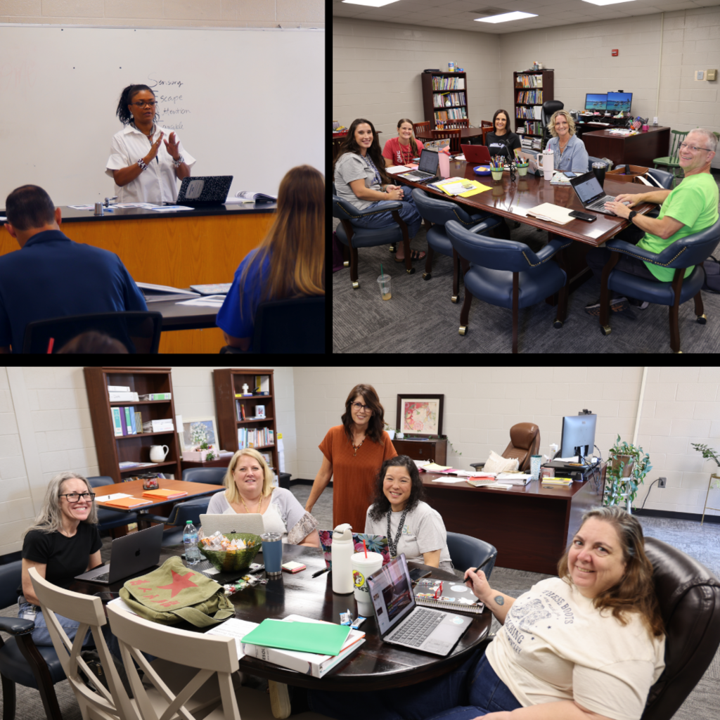 Teachers collaborating with each other across the school district