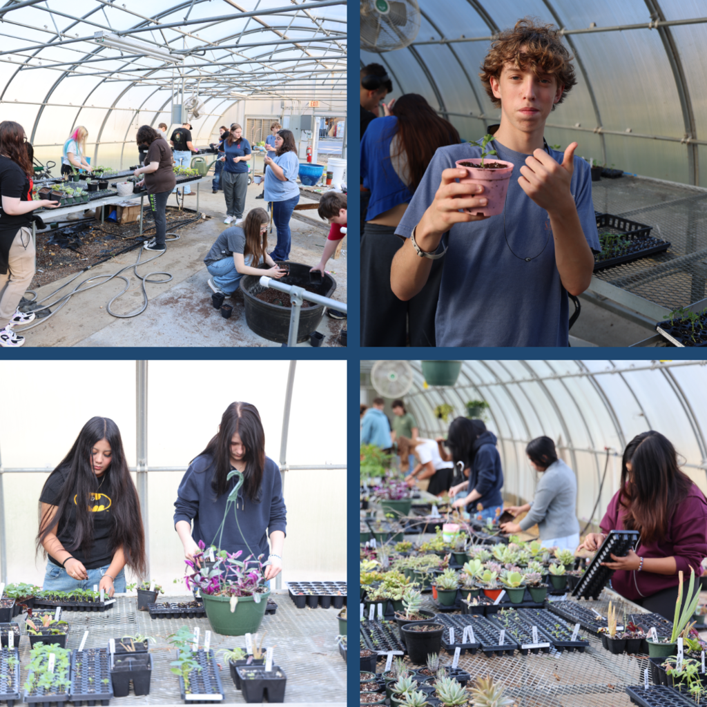Students planting in a greenhouse