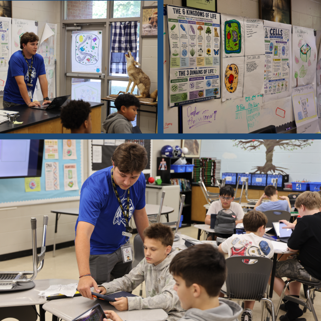 Students working in class