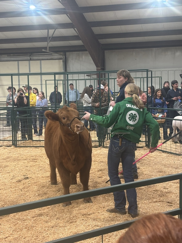 Sequoyah County Livestock Show