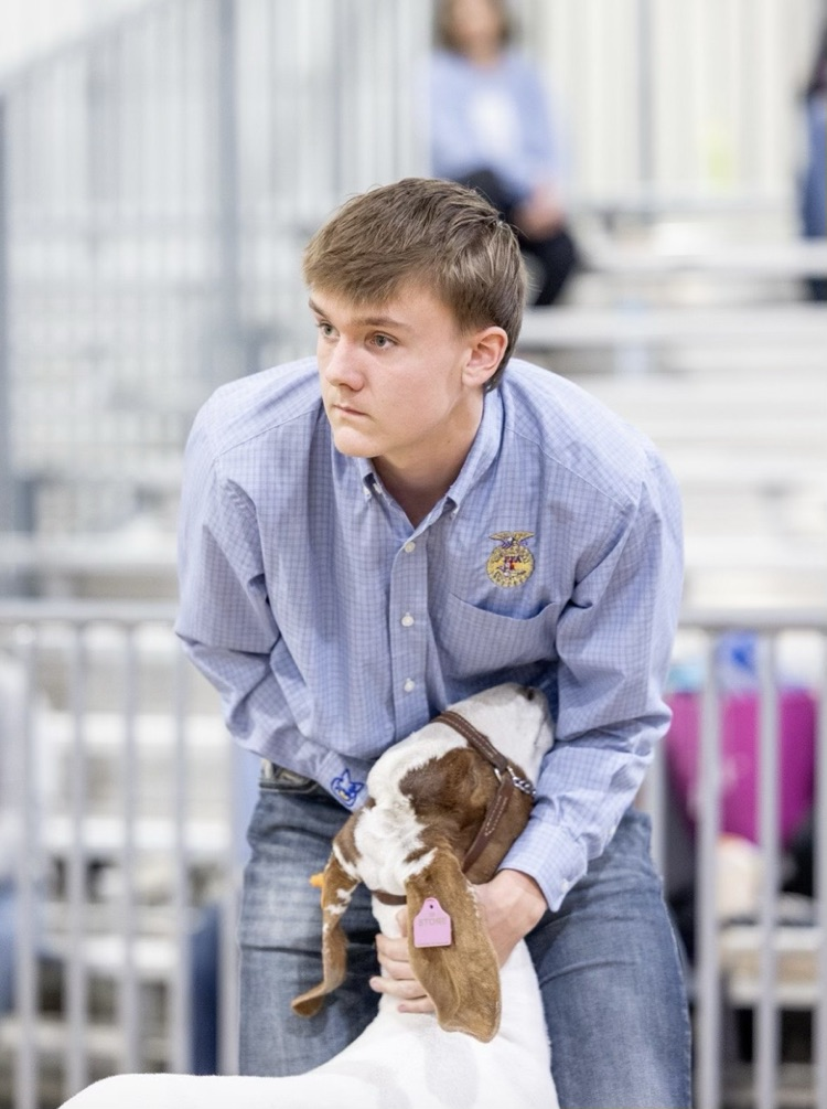 Regional Livestock Show